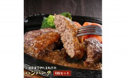 【ふるさと納税】小田原産下中たまねぎのハンバーグ6枚セット【牛肉 牛 ハンバーグ 調理済み 惣菜 ギフト 贈答用 贈答品 下中たまねぎソ