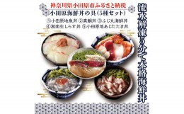 【ふるさと納税】【曽我の梅干し、小田原地あじ、小田原港直送地魚丼、大磯港直送湘南生しらす】小田原海鮮丼の具（5種セット）【ふじ丸