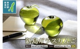 【ふるさと納税】東京都新島産　新島ガラス　りんごペアセット