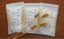 【ふるさと納税】もち麦 450g×3袋 雑穀 大麦 食物繊維 健康 健康食品 ダイエット ごはん ご飯 新潟