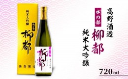 【ふるさと納税】高野酒造 水の都 柳都 純米大吟醸 720ml