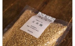 【ふるさと納税】玄米麹（栽培期間中 農薬・化学肥料不使用）［里山ボタニカル］