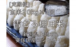 【ふるさと納税】雪むろ棚田米コシヒカリ20kg玄米[定期便]毎月発送(計3回)