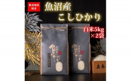 【ふるさと納税】【頒布会】【令和5年産】魚沼産コシヒカリ（白米5kg×2袋を全6回）【新潟県 特A地区】