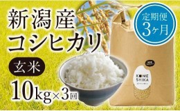 【ふるさと納税】【令和5年産米】【定期便3ヵ月】新潟産コシヒカリ玄米10kg×3回