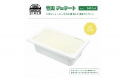 【ふるさと納税】ジャージー牛乳の濃厚ジェラート！竹田ジェラート｜濃厚ミルク味｜2000ml