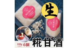 【ふるさと納税】食べる糀甘酒 160g パウチ 6個 冷凍 ★生きた発酵食 ★8ヶ月保存OK ★すぐに使えて便利【1310017】