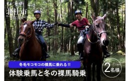 【ふるさと納税】体験乗馬と冬の裸馬騎乗ペアチケット（11〜3月実施）