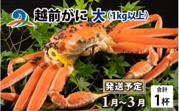 【ふるさと納税】【先行予約】越前がに 大 （1kg以上） 1杯【2025年1月〜3月発送予定】