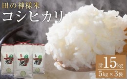 【ふるさと納税】【復興支援】田の神様米(コシヒカリ)5kg×3袋