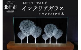 【ふるさと納税】ＬＥＤライティング　インテリアガラス「ロマンティック樹木」