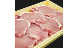 【ふるさと納税】能登豚を堪能！石川県内産豚肉　ローステキカツ