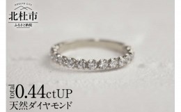 【ふるさと納税】PT900 0.44ctUP 天然ダイヤモンド　ハーフエタニティリング