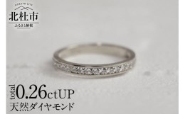 【ふるさと納税】PT900 0.26ctUP 天然ダイヤモンド　ハーフエタニティリング