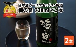 【ふるさと納税】日本酒ベースのおいしい梅酒　梅の宴(720ml×2本) [A-008035]