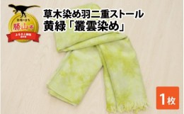 【ふるさと納税】草木染め羽二重ストール 黄緑 叢雲染め [C-053001]