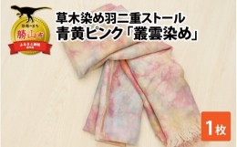 【ふるさと納税】草木染め羽二重ストール 青黄ピンク 叢雲染め [C-053006]