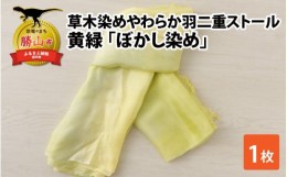 【ふるさと納税】草木染めやわらか羽二重ストール 黄緑 ぼかし染め [B-053001]