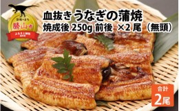 【ふるさと納税】血抜きうなぎの蒲焼（無頭）焼成後250g前後×2尾 | 国産 [B-044001]