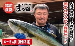 【ふるさと納税】1738　大将におまかせ！朝どれサクどり鮮魚4〜5人前 【2024年4月〜10月発送】[B-007013]