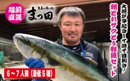 【ふるさと納税】【先行予約】1739　大将におまかせ！朝どれサクどり鮮魚6〜7人前 【2024年4月〜10月発送】[C-007014]