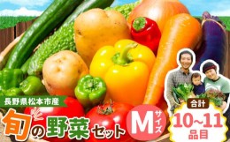 【ふるさと納税】子育て農家の野菜セット（Mサイズ）農薬・化学肥料不使用 | 無農薬 野菜 やさい 長野県 松本市 信州産 ふるさと納税