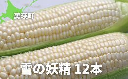 【ふるさと納税】黒木農場　令和６年産　とうもろこし（雪の妖精）12本[012-50]