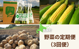 【ふるさと納税】黒木農場　令和６年産　野菜の定期便（３回便）[040-12]