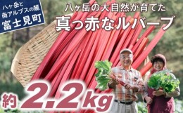 【ふるさと納税】赤いルバーブ・フレッシュ 約2.2kg ※配送不可地域あり 野菜 ルバーブ 西洋野菜 食物繊維 カリウム カルシウム ビタミン