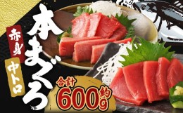 【ふるさと納税】長崎県産 本マグロ2種盛り「赤身・中とろ」計600g【大村湾漁業協同組合】