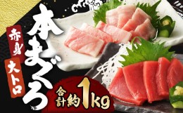 【ふるさと納税】長崎県産 本マグロ2種盛り「赤身・大とろ」計1kg【大村湾漁業協同組合】