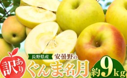 【ふるさと納税】【2024年 令和6年度発送 先行予約】訳あり 安曇野の ぐんま名月 約9kg ｜ リンゴ りんご 林檎 果物 フルーツ 果実 果汁 