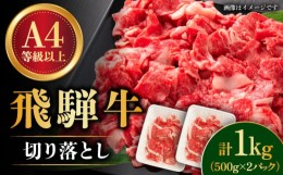 【ふるさと納税】【飛騨牛】 切り落とし 1kg 和牛 ブランド牛 国産 多治見市/肉の丸長  [TAZ005]