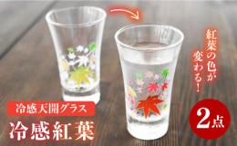 【ふるさと納税】【温度で変化する】 グラス天開ぺアセット 『冷感紅葉』【丸モ高木陶器】≪多治見市≫ コップ ビールグラス 食器 [TBA00