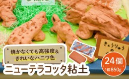 【ふるさと納税】【 おうち時間 で 簡単工作 】焼かなくても丈夫！  ニュー テラコッタ 粘土【 美濃粘土 】≪多治見市≫ 工作用 自由研究