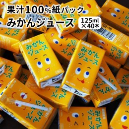 【ふるさと納税】果汁100％紙パックみかんジュース125ml×40本