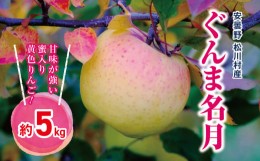 【ふるさと納税】2024年先行予約 安曇野 松川村産 ぐんま名月 家庭用 約 5kg ｜ リンゴ りんご 林檎 果物 フルーツ 果実 果汁 ぐんま名月