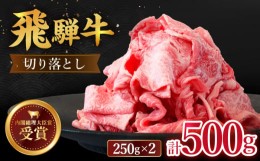 【ふるさと納税】【 飛騨牛 】 切り落とし 500g  ( 250g × 2 ) 【肉のひぐち】≪多治見市≫ 牛肉 国産 ブランド牛 和牛 [TDC009]