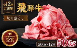 【ふるさと納税】【 12回 定期便 】【 飛騨牛 】 切り落とし 総計 6kg 〈 1回あたり 〉500g  ( 250g × 2 )【肉のひぐち】≪多治見市≫ 