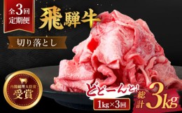 【ふるさと納税】【 3回 定期便 】【 飛騨牛 】 切り落とし 総計 3kg 〈 1回あたり 〉1kg ( 250g × 4 )  牛肉 国産 ブランド牛 和牛 多