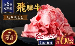 【ふるさと納税】【 6回 定期便 】【 飛騨牛 】切り落とし 総計 6kg 〈 1回あたり 〉1kg ( 250g × 4 )【肉のひぐち】≪多治見市≫ 牛肉 