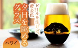 【ふるさと納税】夕日を眺める グラス『ハワイ』【丸モ高木陶器】 ビールグラス 酒器 贈答  [TBA158]