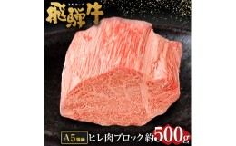 【ふるさと納税】【 希少部位 】飛騨牛 A5 等級　ヒレ肉ブロック 約500g | 肉のかた山 ブロック肉 M61S01