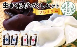 【ふるさと納税】プレミアム！杜のきくらげづくしセット 国産 東白川村産 食物繊維 生きくらげ きくらげ 白きくらげ 白いきくらげ 乾燥き