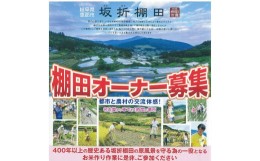 【ふるさと納税】坂折棚田お一人様オーナー1口