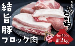 【ふるさと納税】白川郷 結旨豚 ブロック肉 4種セット 計2kg 豚肉 ぶた肉 国産肉 抗生物質 合成抗菌剤不使用 真空パック かたまり肉 肉 