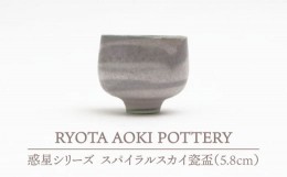 【ふるさと納税】【美濃焼】 スパイラルスカイ瓷盃 【RYOTA AOKI POTTERY/青木良太】 [MCH065]