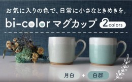 【ふるさと納税】【美濃焼】 bi-color マグカップ 2色セット (月白・白群) 【山二製陶所】 食器 マグ コーヒーカップ [MDA006]