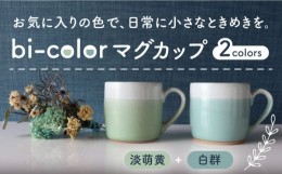 【ふるさと納税】【美濃焼】 bi-color マグカップ 2色セット (淡萌黄・白群) 【山二製陶所】 食器 マグ コーヒーカップ [MDA008]