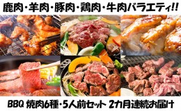 【ふるさと納税】【2カ月連続】エンジョイ！BBQセット　〜焼肉6種　5人前コース〜